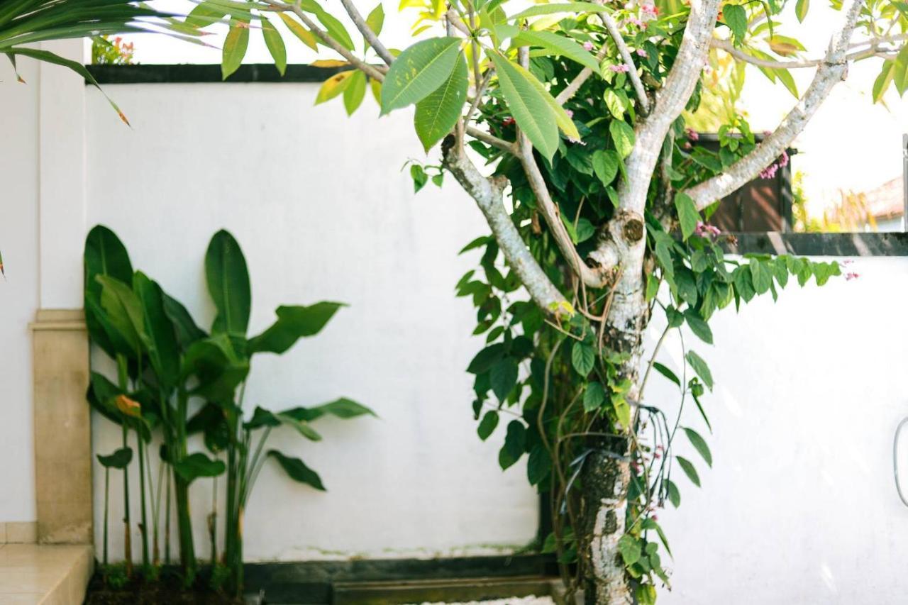 Adi Guest House Canggu Dış mekan fotoğraf