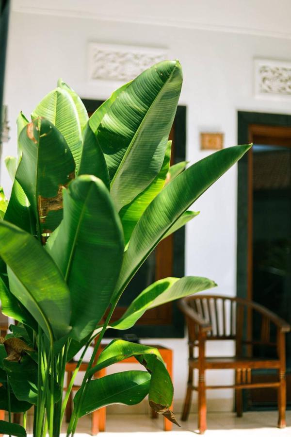 Adi Guest House Canggu Dış mekan fotoğraf