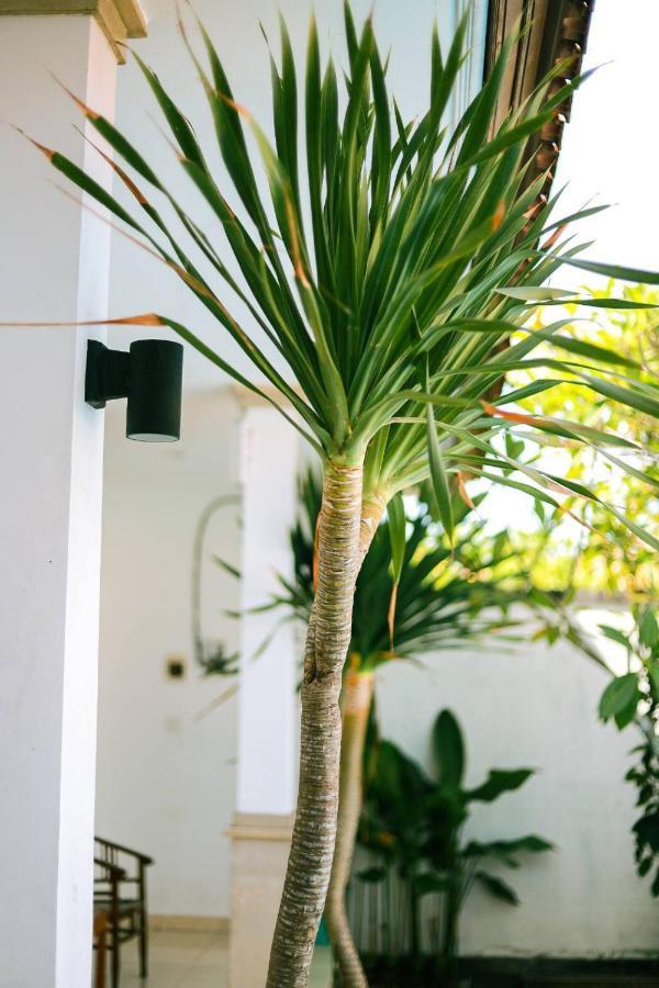 Adi Guest House Canggu Dış mekan fotoğraf