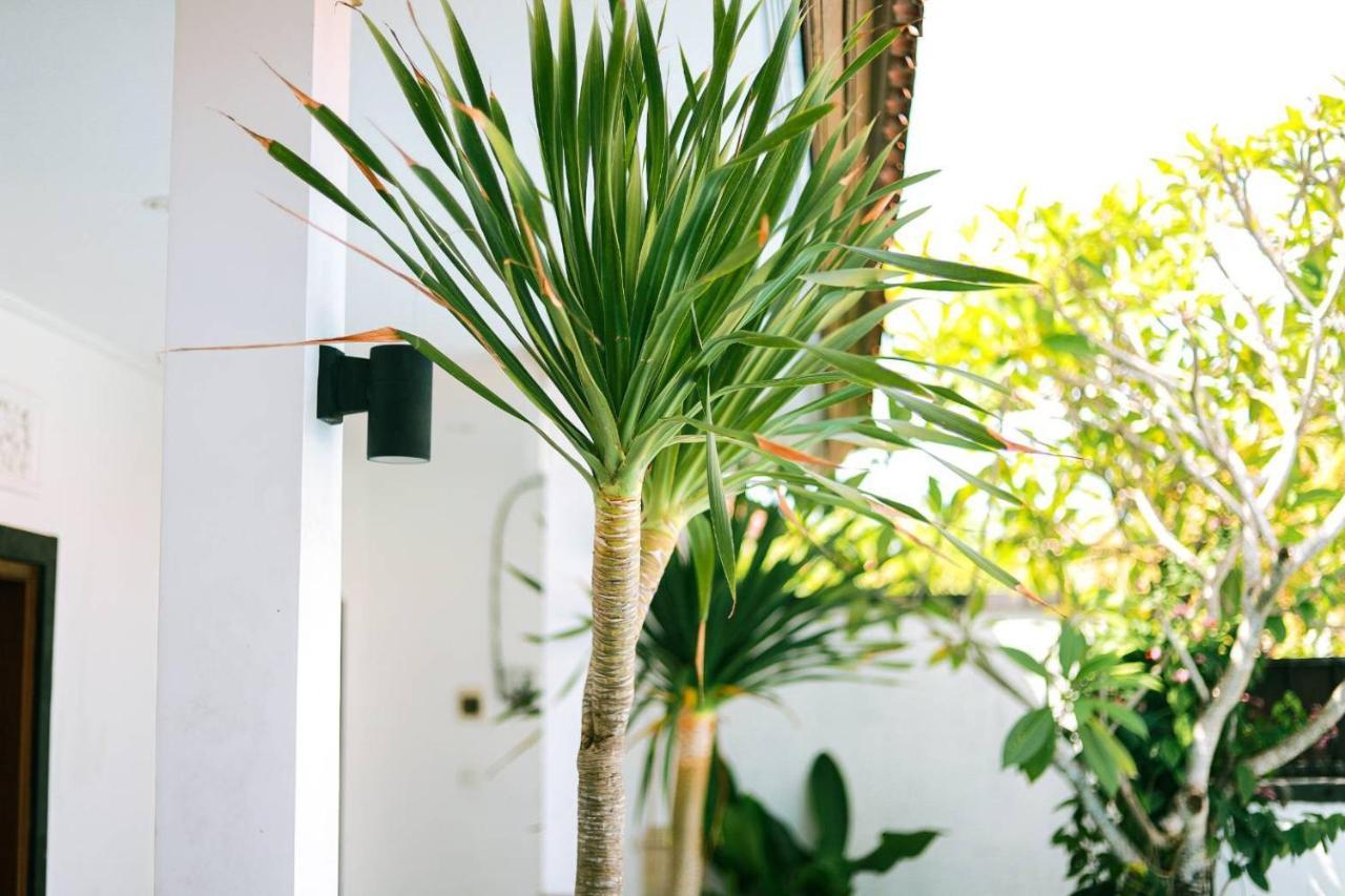 Adi Guest House Canggu Dış mekan fotoğraf